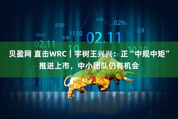 贝盈网 直击WRC|宇树王兴兴:正“中规中矩”推进上市,中小团队仍有机会