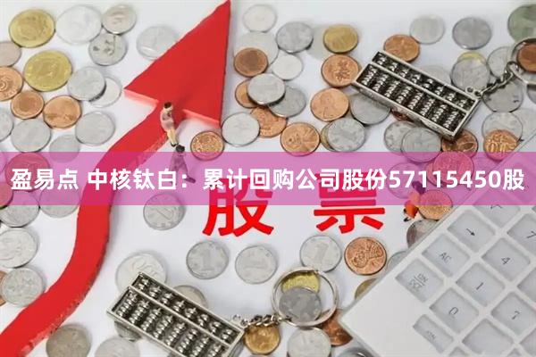 盈易点 中核钛白：累计回购公司股份57115450股