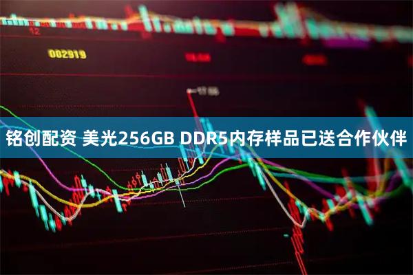 铭创配资 美光256GB DDR5内存样品已送合作伙伴