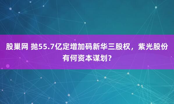 股巢网 抛55.7亿定增加码新华三股权，紫光股份有何资本谋划？