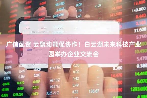 广信配资 云聚动能促协作!白云湖未来科技产业园举办企业交流会