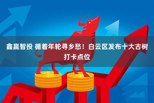 鑫赢智投 循着年轮寻乡愁！白云区发布十大古树打卡点位